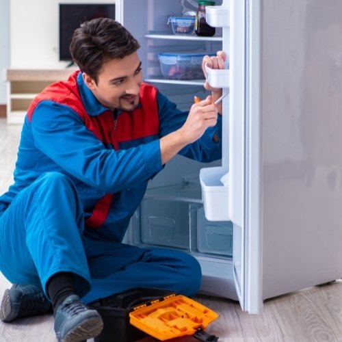 Fridge Repair
